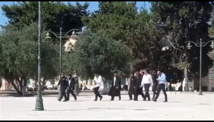 63 متطرفاً ومتطرفة اقتحموا المسجد الاقصى في الفترة الصباحية اليوم