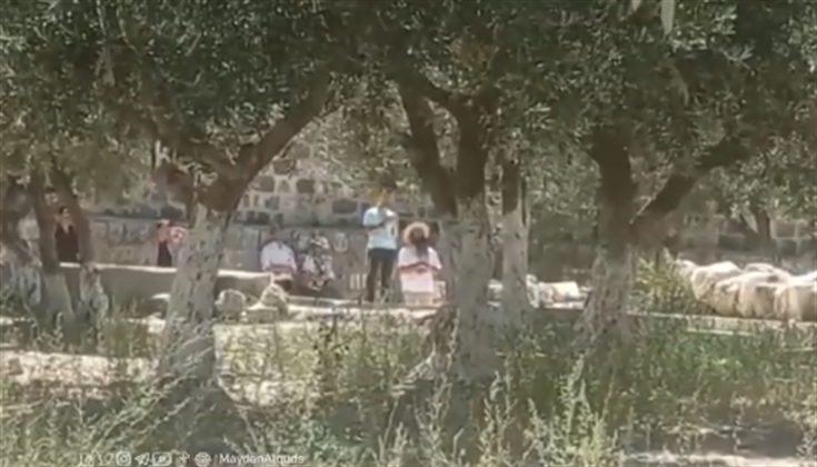 المتطرفون يستأنفون اقتحام الأقصى في الفترة المسائية