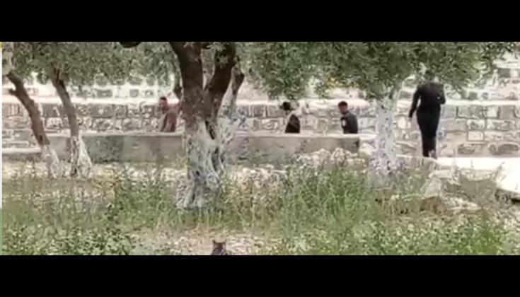 تجدد اقتحامات المستوطنين للمسجد الاقصى المبارك صباح اليوم