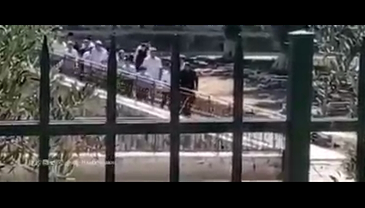 في الفترة الصباحية: 114 متطرفاً و 65 سائحاً