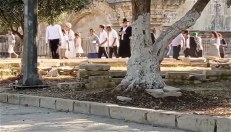 مستوطنون يقتحمون المسجد الأقصى الآن ويتجولون قرب باب الرحمة