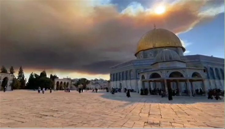 حريق في أحراش مستوطنة "بيت مئير"