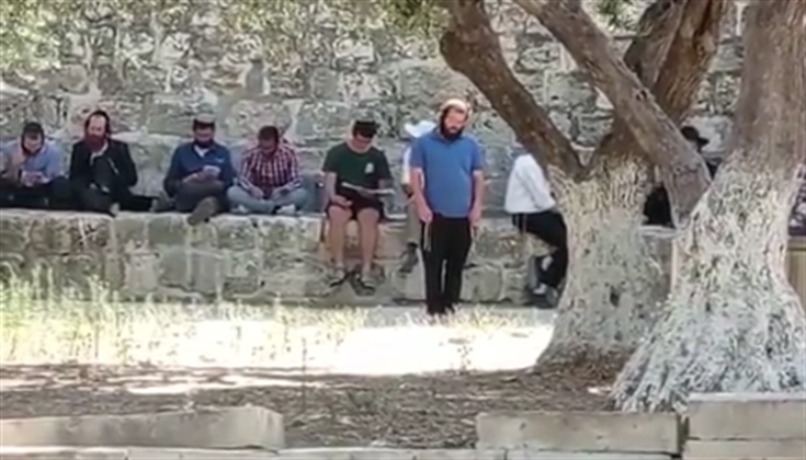 نحو 100 مستوطن اقتحموا المسجد الأقصى صباح اليوم