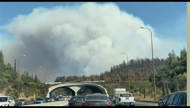 الرياح تفاقم النيران