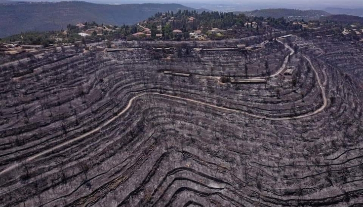 الأهمية التاريخية للمناطق التي اندلعت بها الحرائق في جبال القدس