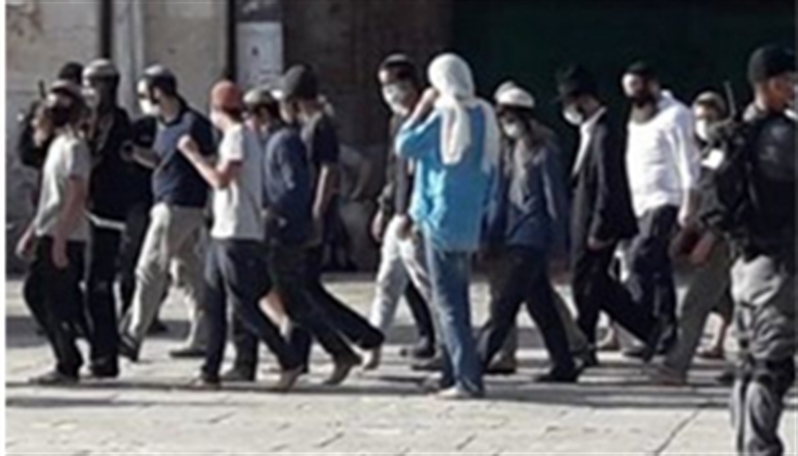 107 مستوطنين اقتحموا المسجد الأقصى