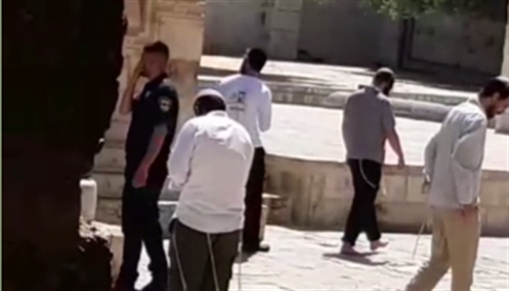 78 مستوطناً اقتحموا المسجد الأقصى