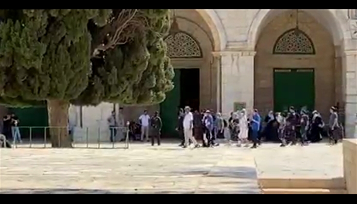 مستوطنون يقتحمون المسجد الأقصى من باب المغاربة