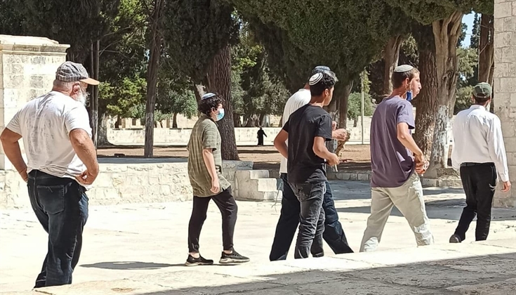 126 مستوطنًا اقتحموا المسجد الأقصى