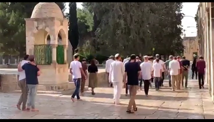 144مستوطنا اقتحموا المسجد الأقصى