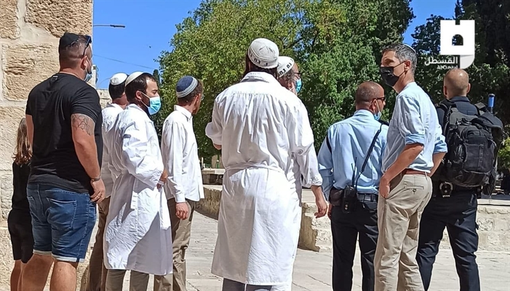 156 مستوطنًا اقتحموا المسجد الأقصى