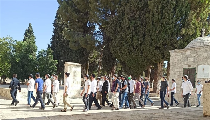 112 مستوطنًا اقتحموا المسجد الأقصى