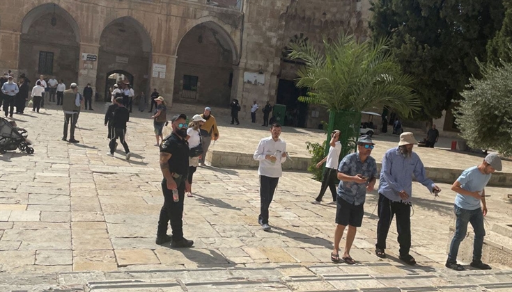 اقتحامات المسجد الأقصى هذا اليوم