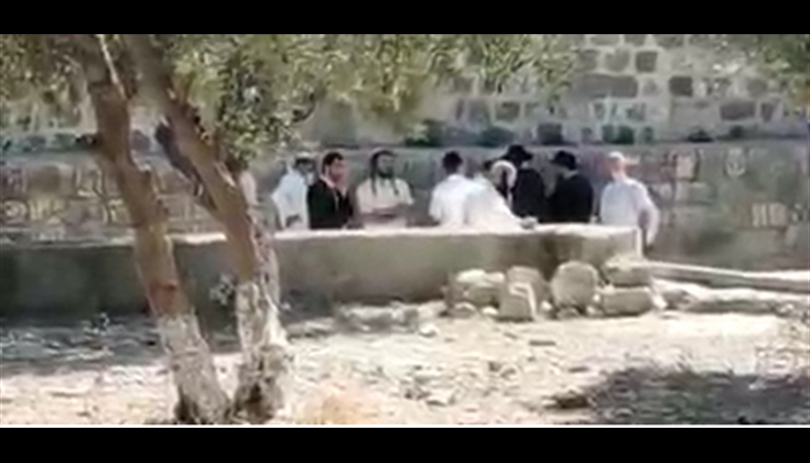 أحد حراس المسجد الأقصى يتنبّه لمحاولة المقتحمين إخراج سَعَف نخيلٍ