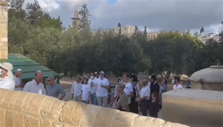 مستوطنون بأعداد كبيرة قدموا شروحات خلال اقتحامهم