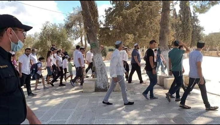 1003 متطرفاً ومتطرفة