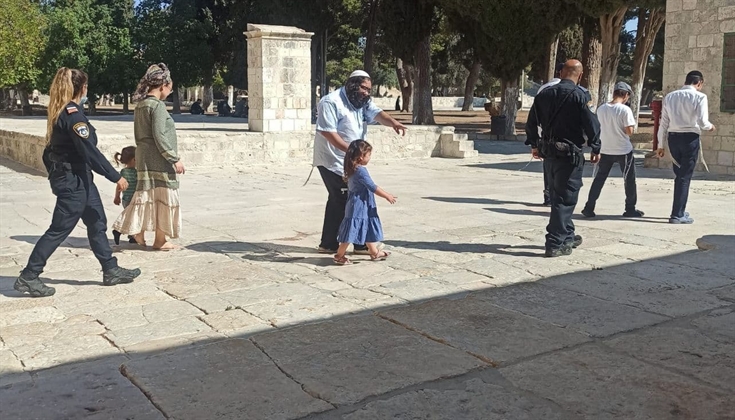 73 مستوطنًا اقتحموا المسجد الأقصى