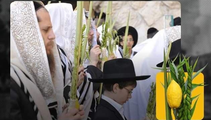 يتفاخر المستوطنون بإدخالهم القرابين النباتية خلال عيد العُرش اليه