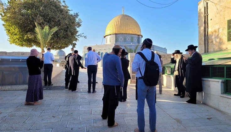 63 مستوطناً اقتحموا المسجد الأقصى