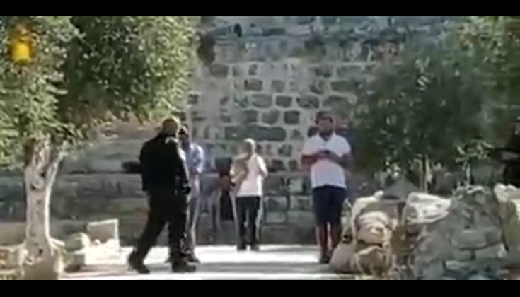 59 مستوطناً اقتحموا المسجد الأقصى