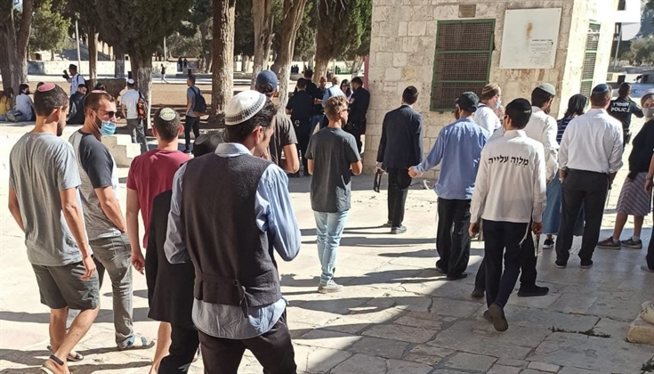 132 مستوطنًا اقتحموا المسجد الأقصى