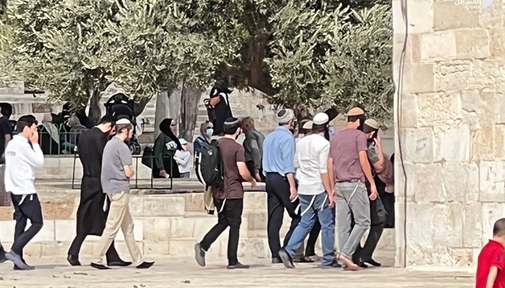 المستوطنون يواصلون اقتحامهم للمسجد الأقصى