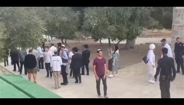 81 مستوطنًا اقتحموا باحات الأقصى