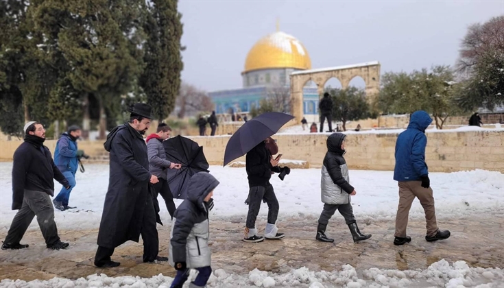 جماعات الهيكل تقتحم الأقصى اليوم صباحا، وتقوم بتدنيس ثوبه الأبيض