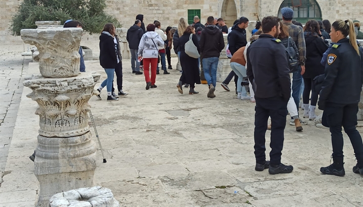 "135 مستوطناً اقتــحموا المسجد الأقصى المبارك صباح اليوم