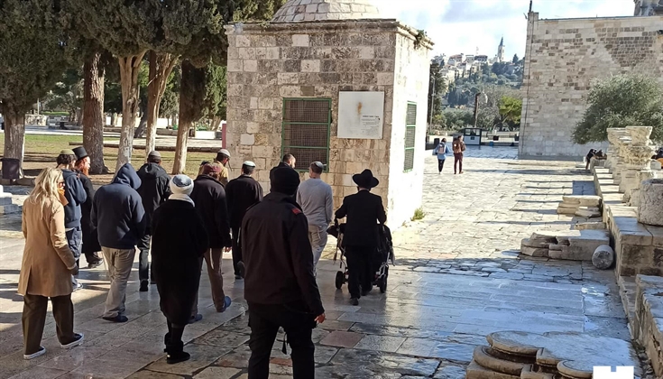 مستوطنون يقتحمون المسجد الأقصى هذه الأثناء بحماية قوات الاحتلال.