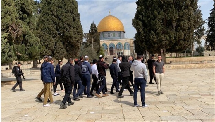 205 مستوطنين يقتحمون باحات المسجد الأقصى