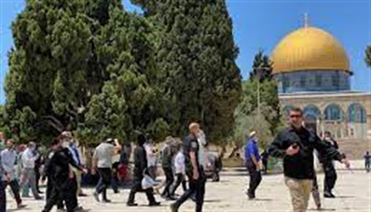 تحذيرات من الانجرار وراء خديعة الاحتلال بعد إعلان مكتب (نفتالي