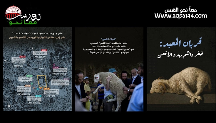 "قربان الفصح" إحياؤه بوابةٌ لإحياء الهيكل