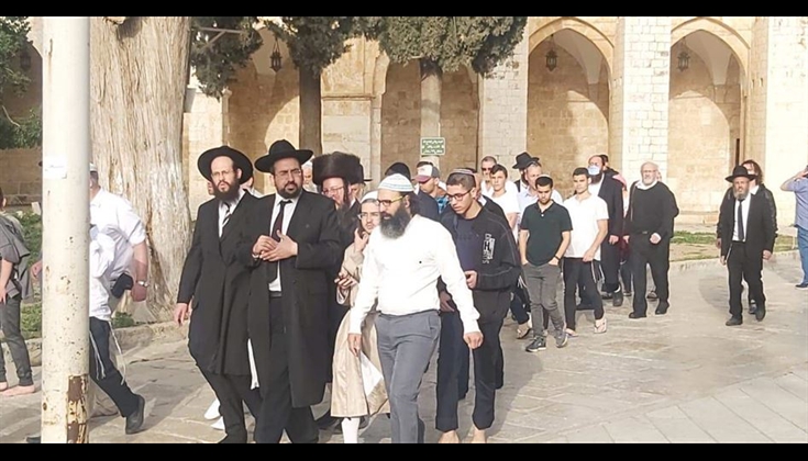 تزامنًا مع ذكرى النكبة الـ74.. مستوطنون يقتحمون الأقصى