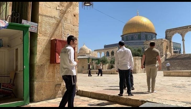 96 مستوطنًا يقتحمون "الأقصى"