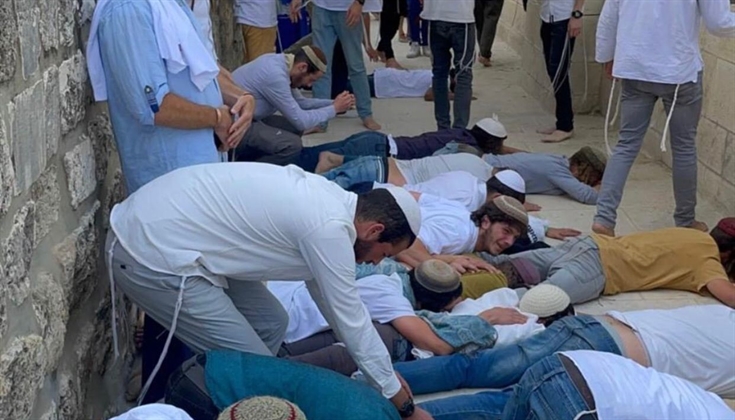 1044 مستوطنا اقتحموا باحات الأقصى صباح اليوم.