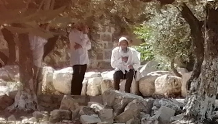 مستوطنون يؤدون طقوسًا تلمودية في المسجد الأقصى هذه الأثناء