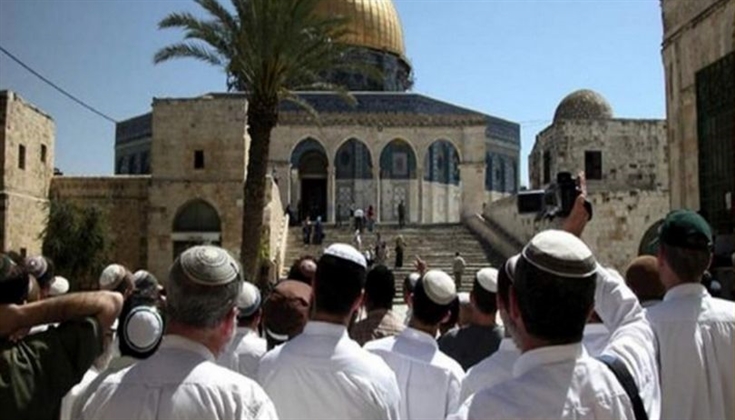 مستوطنون يقتحمون "الأقصى" وينفذون جولات استفزازية