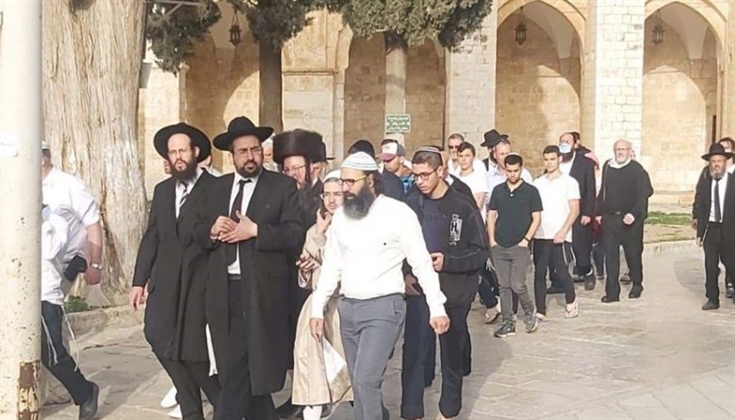 مستوطنون يقتحمون الأقصى ودعوات لاقتحامات واسعة الشهر المقبل