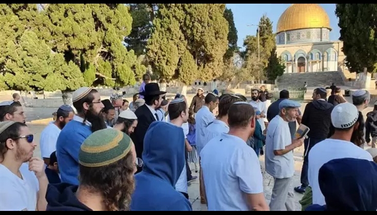 حشد استيطاني لاقتحام "تاريخي" للمسجد الأقصى نهاية الشهر الجاري
