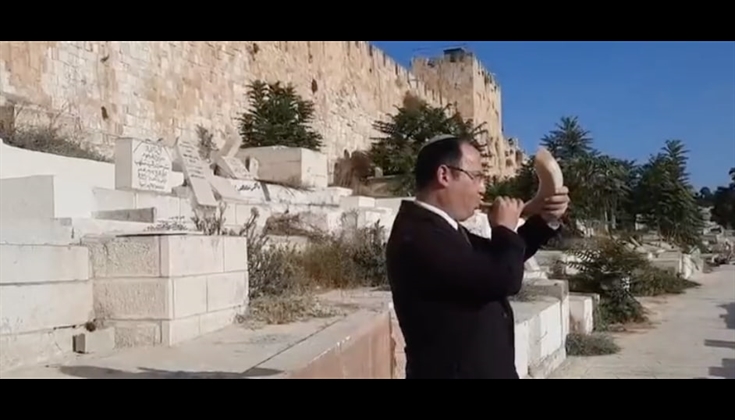 عضو "الكنيست" (سمحة ووتمان) تقتحم باب الرحمة وتنفخ بـ "البوق"