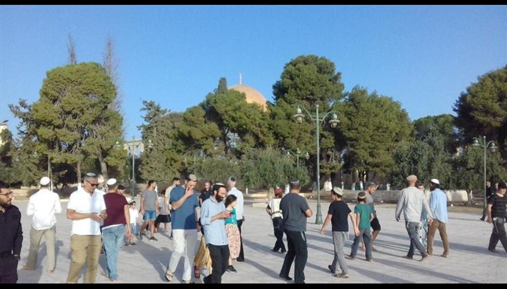 259 مستوطنًا يقتحمون المسجد الأقصى