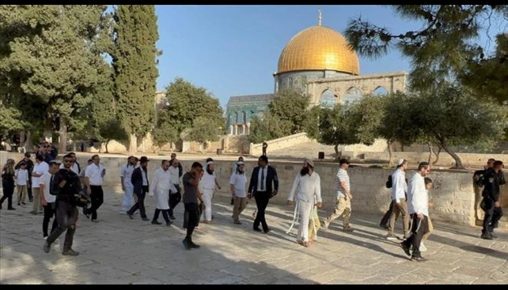 بحراسة شرطة الاحتلال.. 100 مستوطن يقتحمون "الأقصى" في عيد