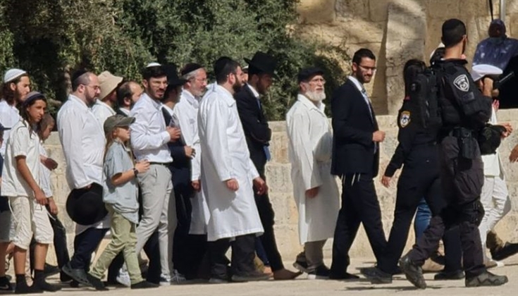 دعوات لتكثيف الرباط.. مستوطنون يقتحمون الأقصى