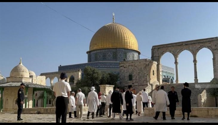 505مستوطنين يقتحمون "الأقصى" وإجراءات مشددة ضد المرابطين