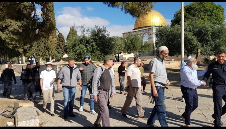 299 مستوطنًا يقتحمون المسجد الأقصى