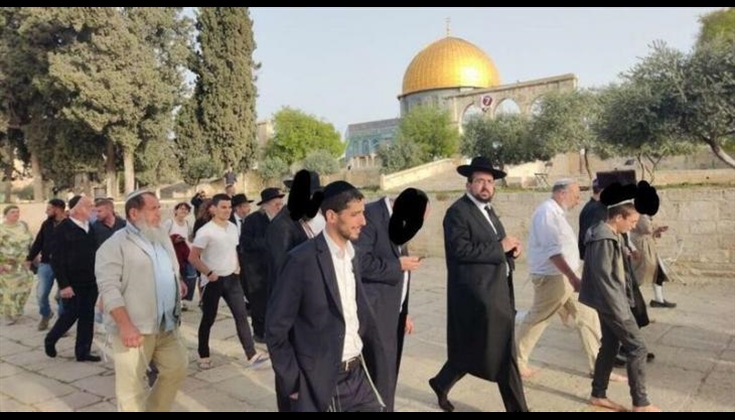 عشرات المستوطنين يقتحمون المسجد الأقصى في عيد "الحانوكاه"