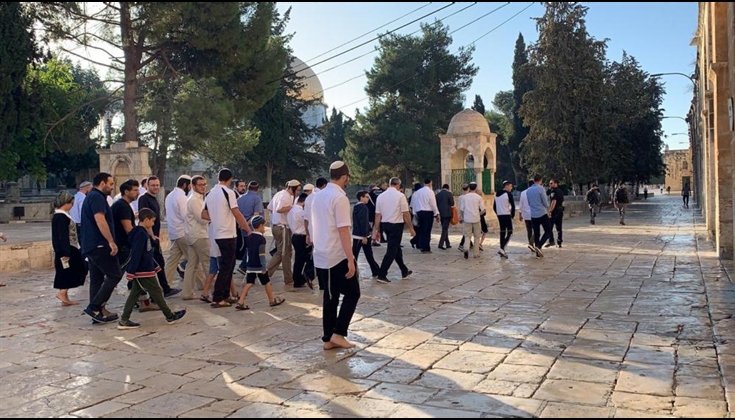 عشرات المستوطنين يقتحمون الأقصى