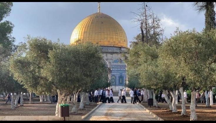 عشرات المستوطنين يقتحمون الأقصى