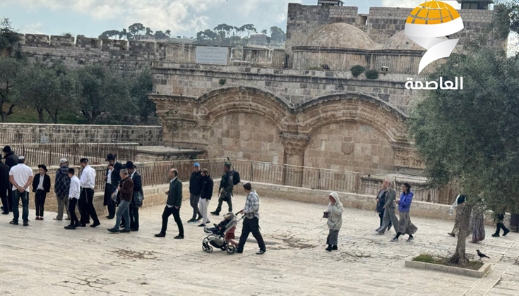 أكثر من 1000 مستوطن يقتحمون المسجد الأقصى في ثالث أيام عيد الفصح